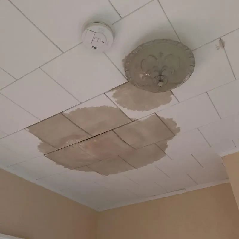 Ceiling Water Damage Repair in Mountrail County, ND