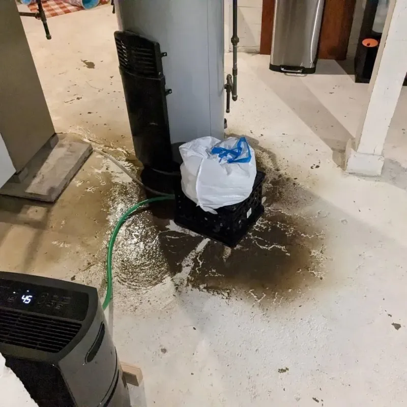 Sewage Backup Cleanup Service in Mountrail County, ND